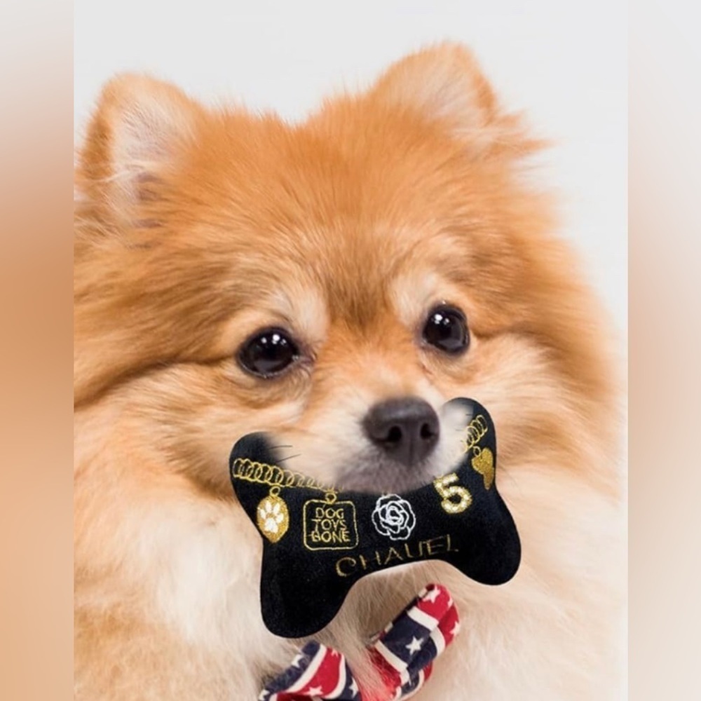 Dog 🐶 Toy
